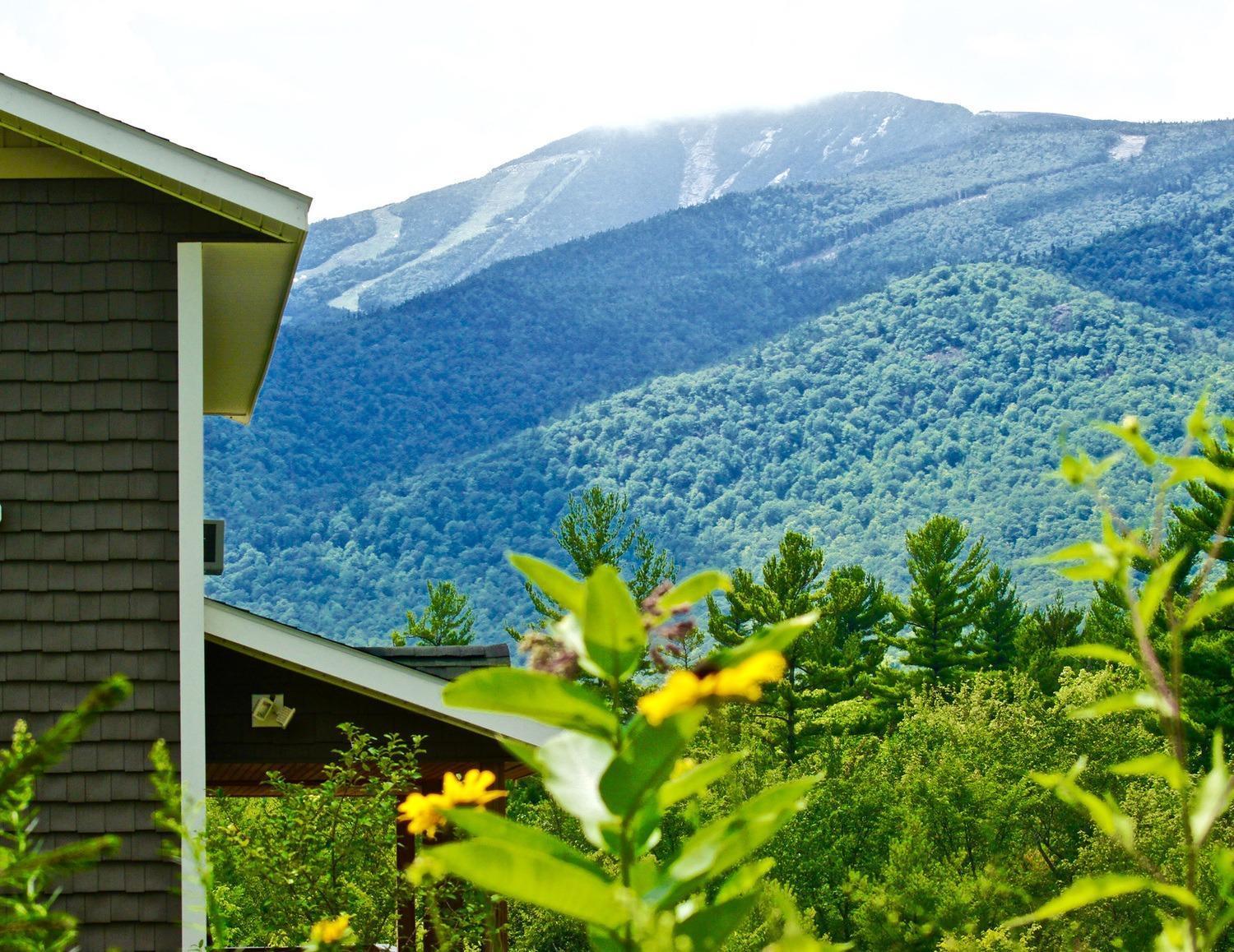 Lookout Mountain Chalet Villa Wilmington Bagian luar foto